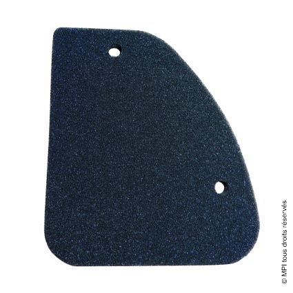 (PG34101) MOUSSE FILTRE A AIR ELYSEO 50