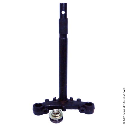 TE DE FOURCHE PACH 51