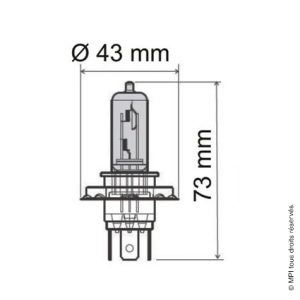 AMPOULE 12V / 35W (HS1)