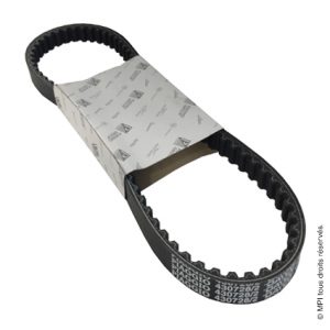 COURROIE PIAGGIO 50 (430728)