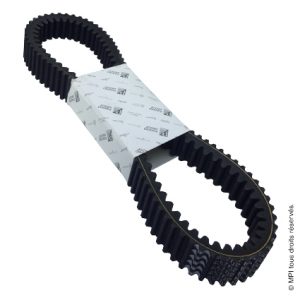 COURROIE GP 800 / SRV 850 (845010)