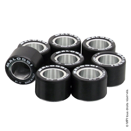 (6613655.H0) GALETS 25X19 19 G GP800 / SRV850