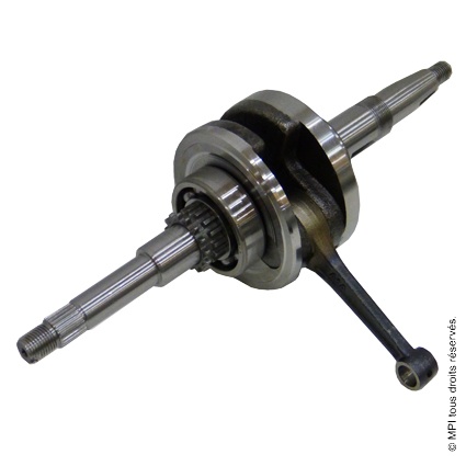 EMBIELLAGE TWEET 50 (801916/801644)