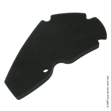 (P5116) FILTRE A AIR SCARABEO